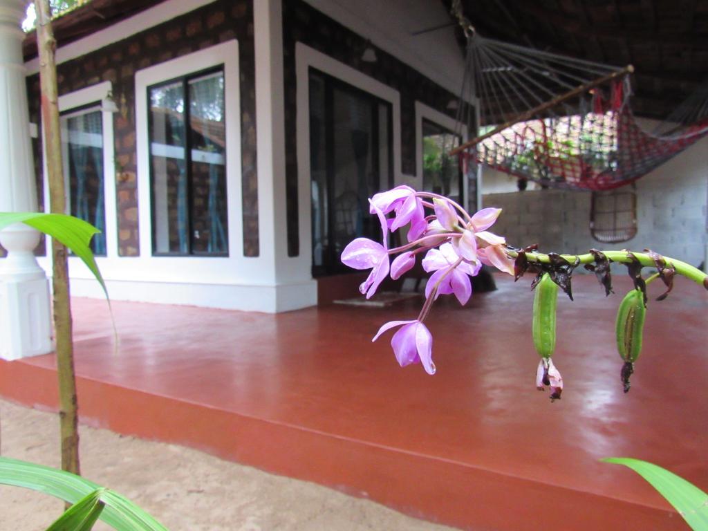 Вилла Marari Dreamz Alappuzha Экстерьер фото